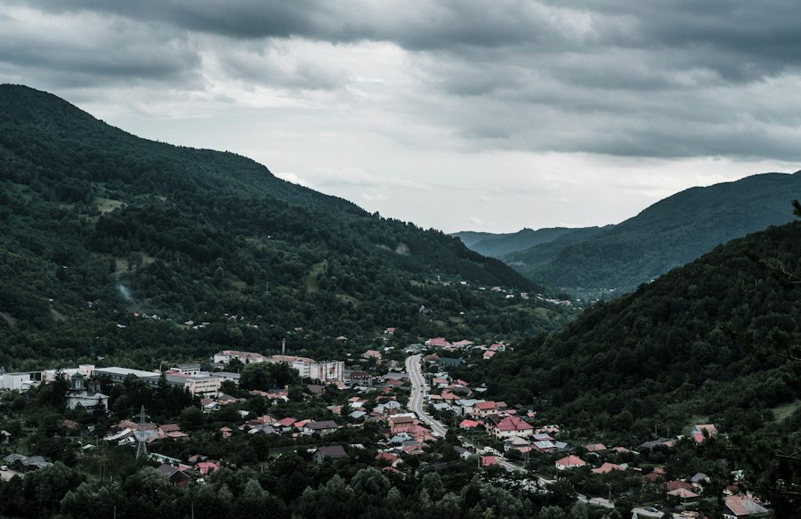 motivația