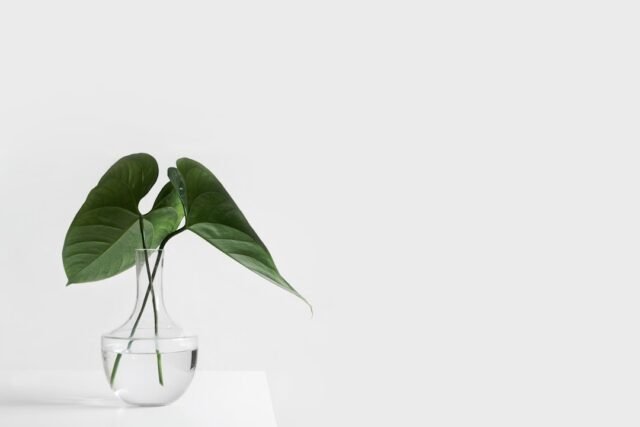 Photo minimalism