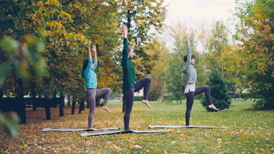 Photo hobbies for balance and well-being