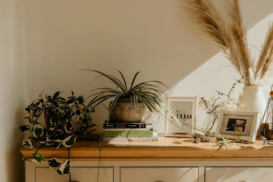 budget home decor mistakes